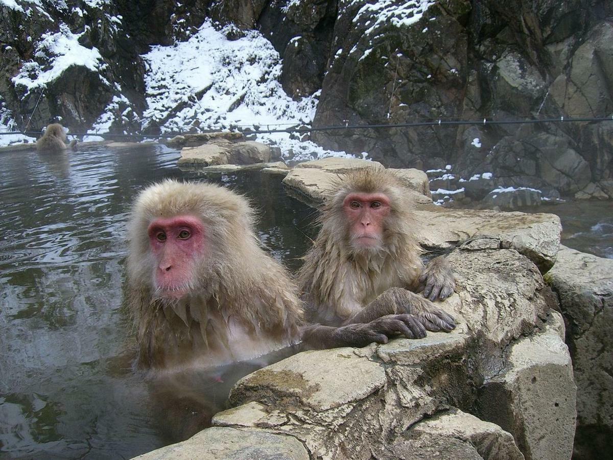 Lodge Jun 白马村 外观 照片